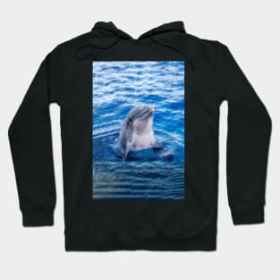 I Love Dolphins Hoodie